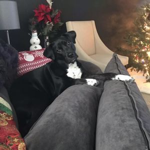 Meet your Posher, Jill